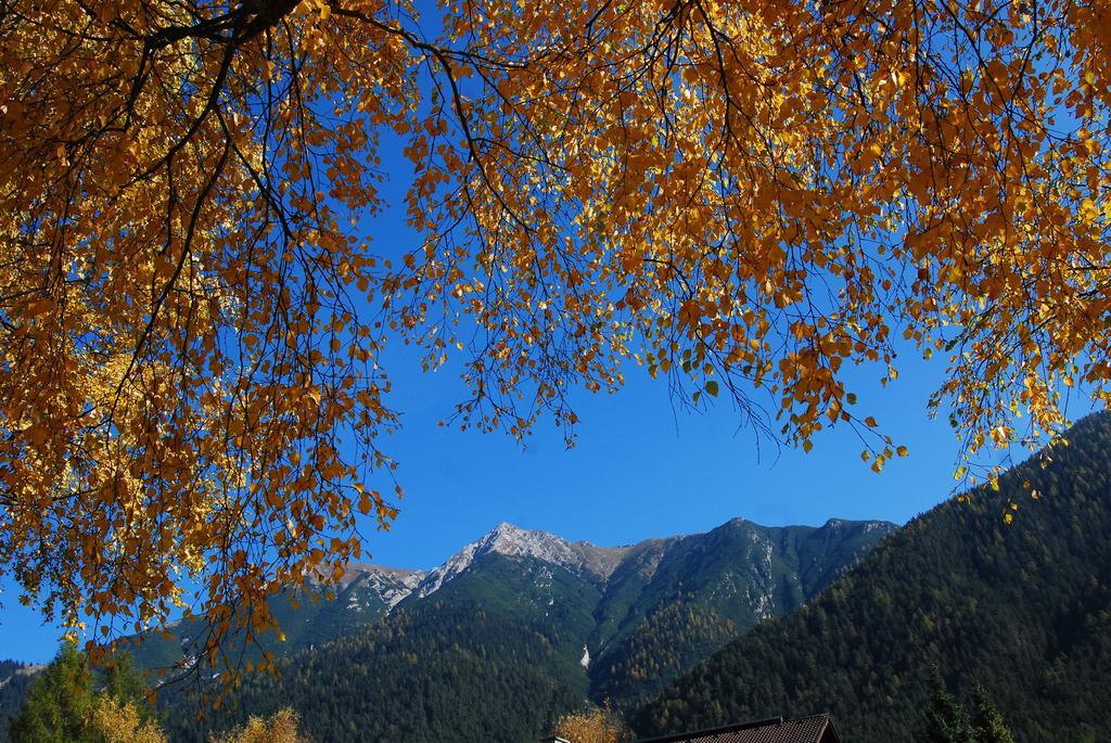 Landhaus Elke Reith bei Seefeld Exterior foto